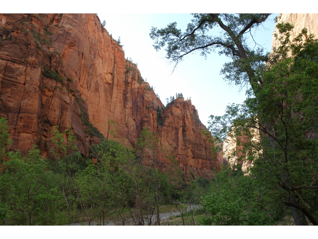    (Zion National Park).